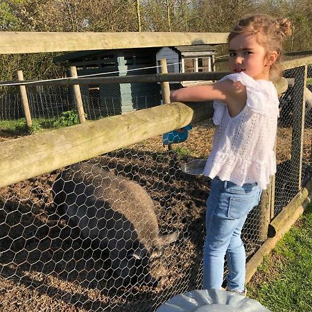 Willow Court Farm Studio East & Petting Farm, 8 Mins To Legoland & Windsor, 15 Mins To Lapland Uk Екстер'єр фото