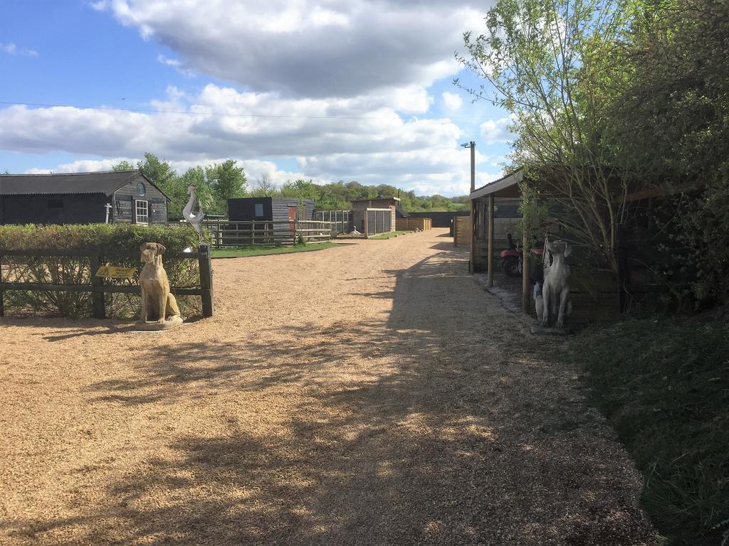 Willow Court Farm Studio East & Petting Farm, 8 Mins To Legoland & Windsor, 15 Mins To Lapland Uk Екстер'єр фото