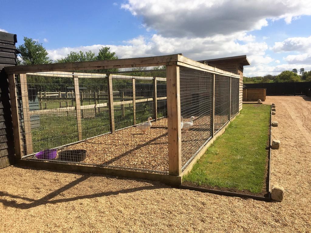 Willow Court Farm Studio East & Petting Farm, 8 Mins To Legoland & Windsor, 15 Mins To Lapland Uk Екстер'єр фото