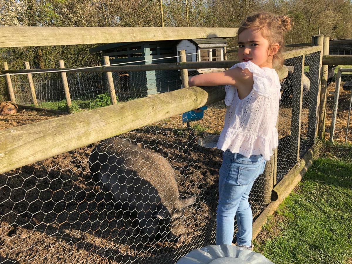 Willow Court Farm Studio East & Petting Farm, 8 Mins To Legoland & Windsor, 15 Mins To Lapland Uk Екстер'єр фото