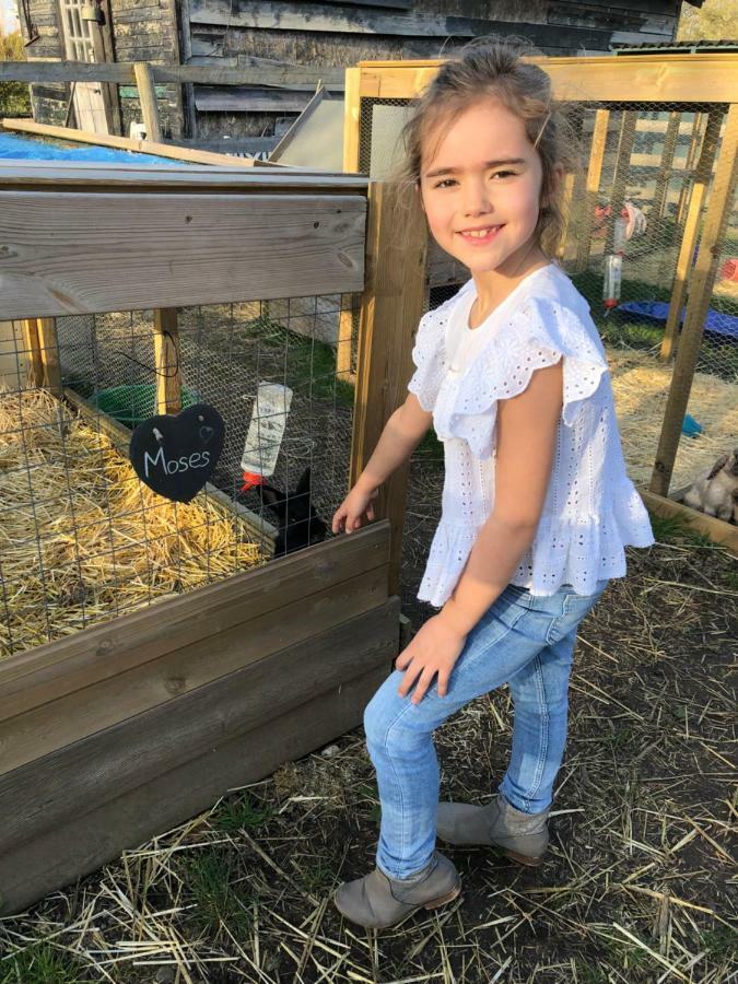 Willow Court Farm Studio East & Petting Farm, 8 Mins To Legoland & Windsor, 15 Mins To Lapland Uk Екстер'єр фото
